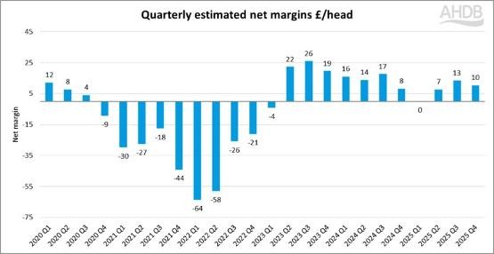Bar graph showing net margins for pig 